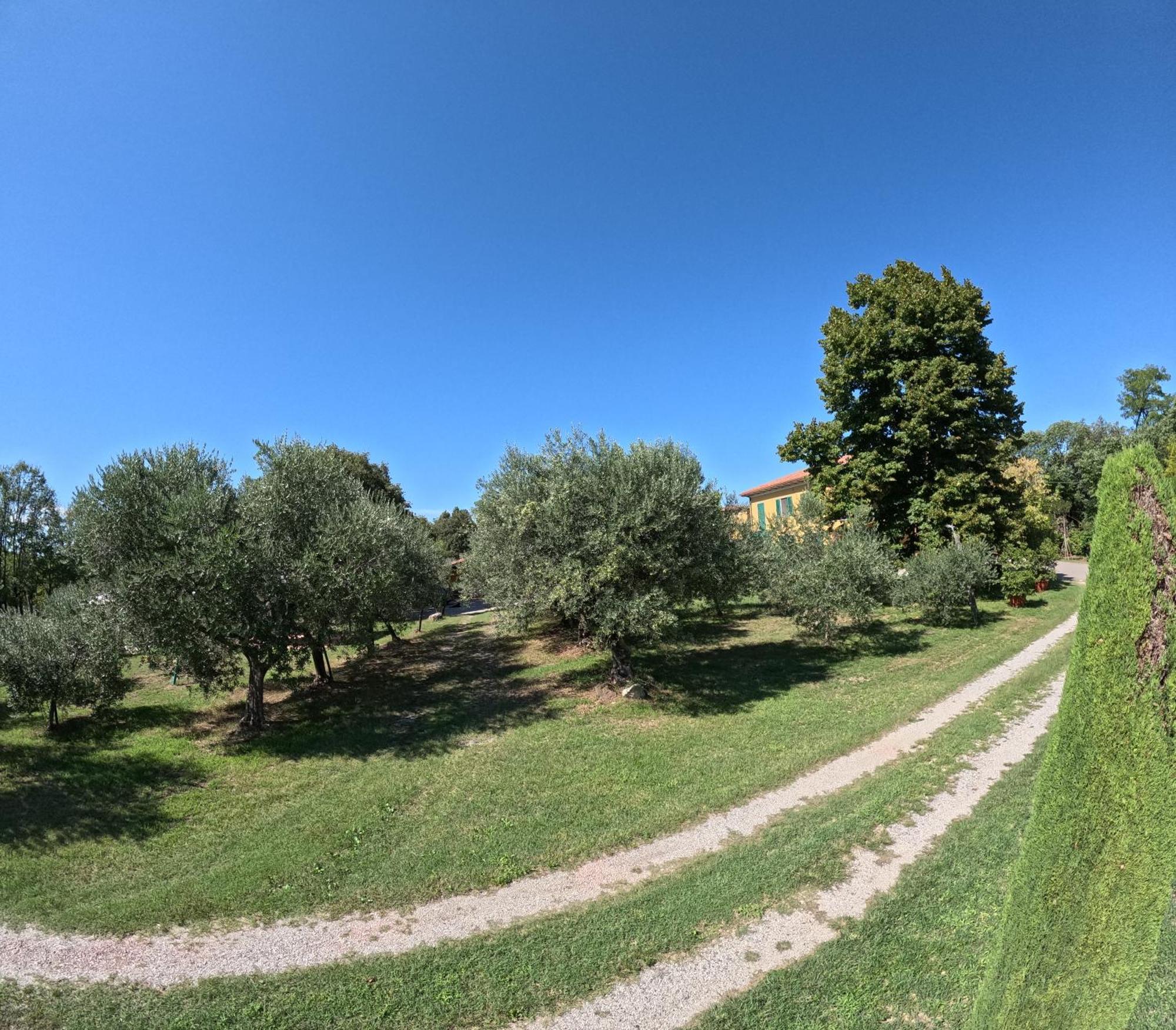 Agriturismo Gardenali 沃尔塔曼托瓦纳 外观 照片