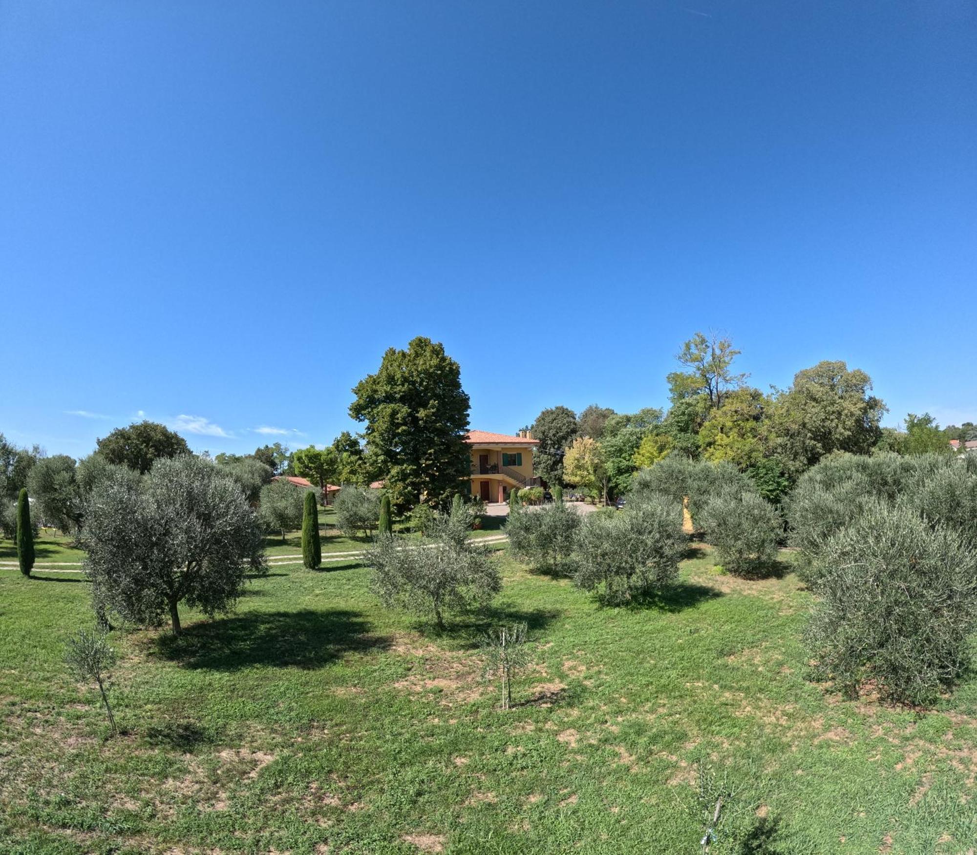 Agriturismo Gardenali 沃尔塔曼托瓦纳 外观 照片
