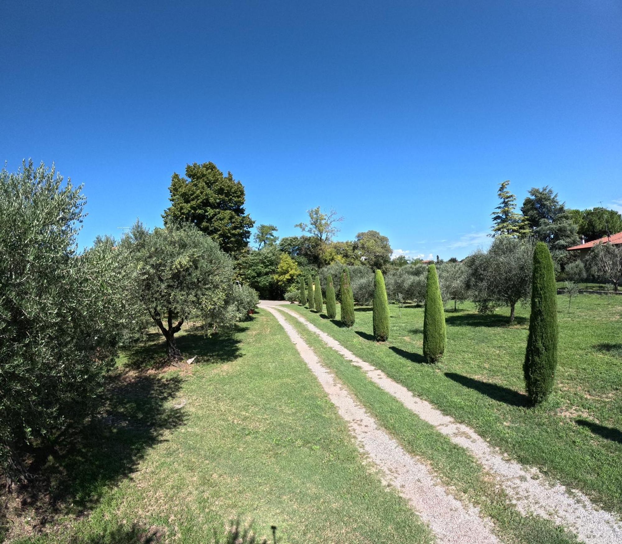 Agriturismo Gardenali 沃尔塔曼托瓦纳 外观 照片