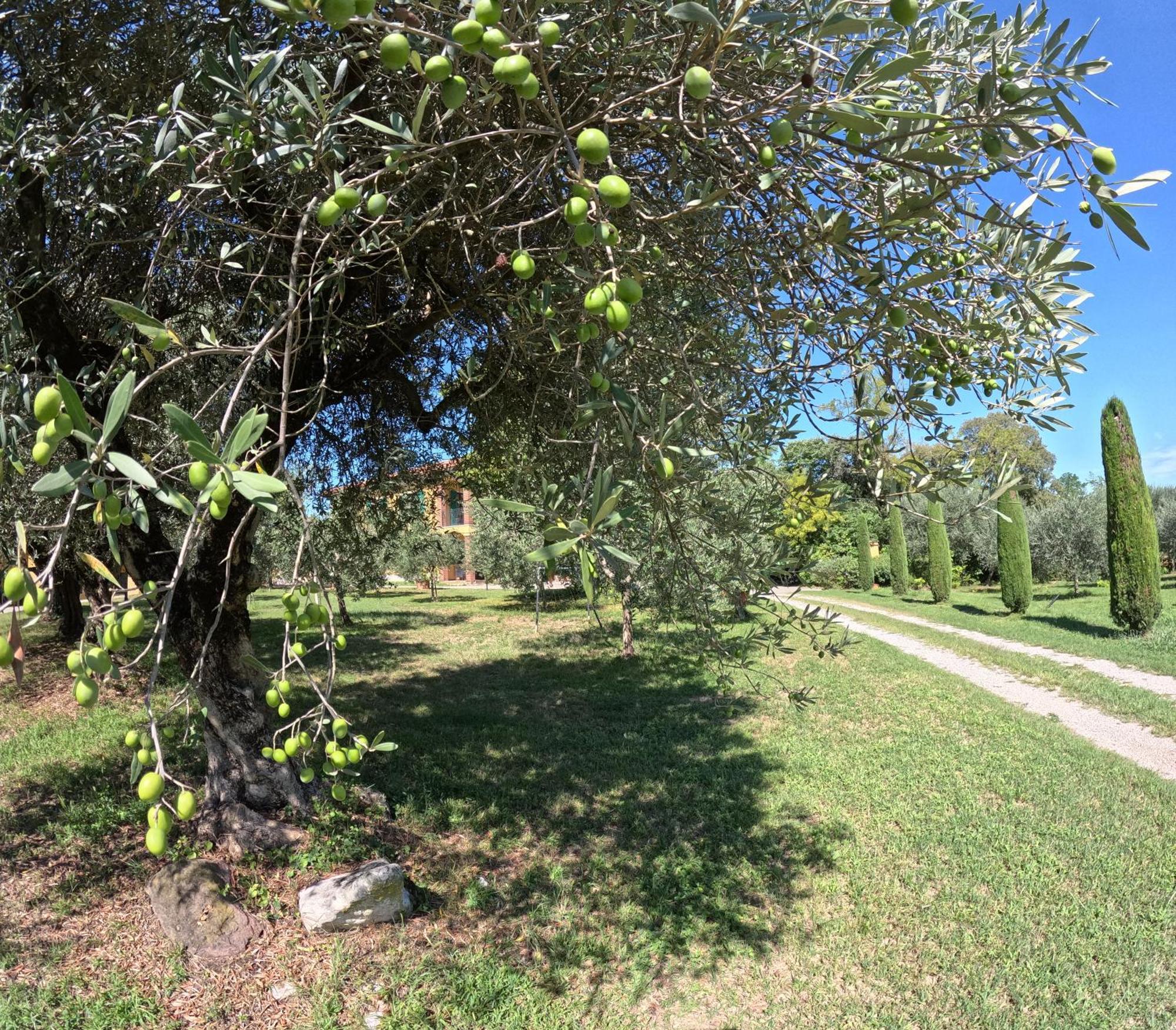 Agriturismo Gardenali 沃尔塔曼托瓦纳 外观 照片