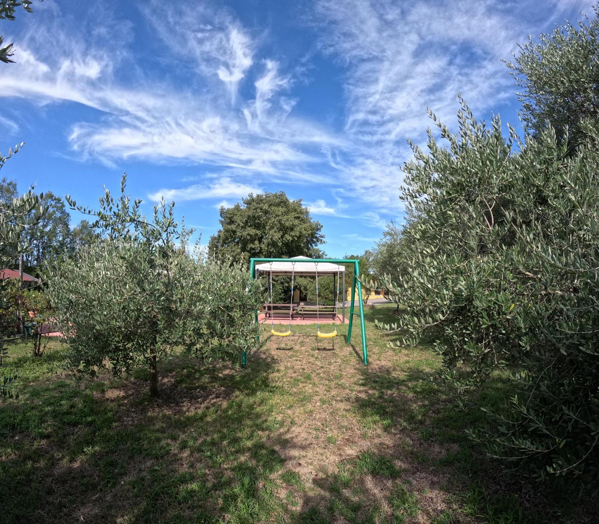 Agriturismo Gardenali 沃尔塔曼托瓦纳 外观 照片