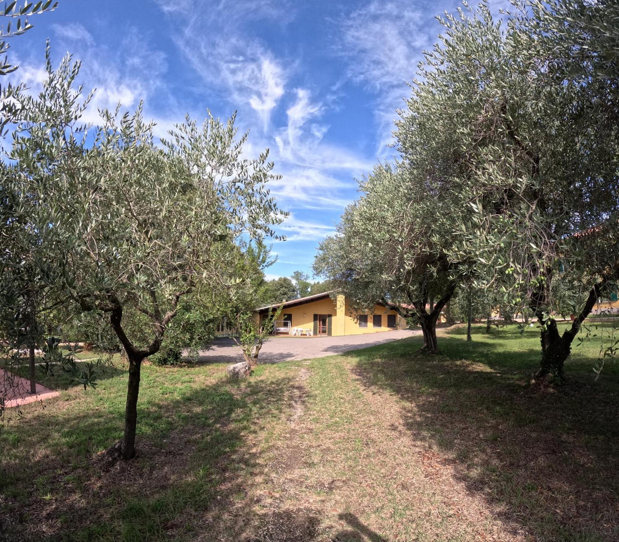 Agriturismo Gardenali 沃尔塔曼托瓦纳 外观 照片