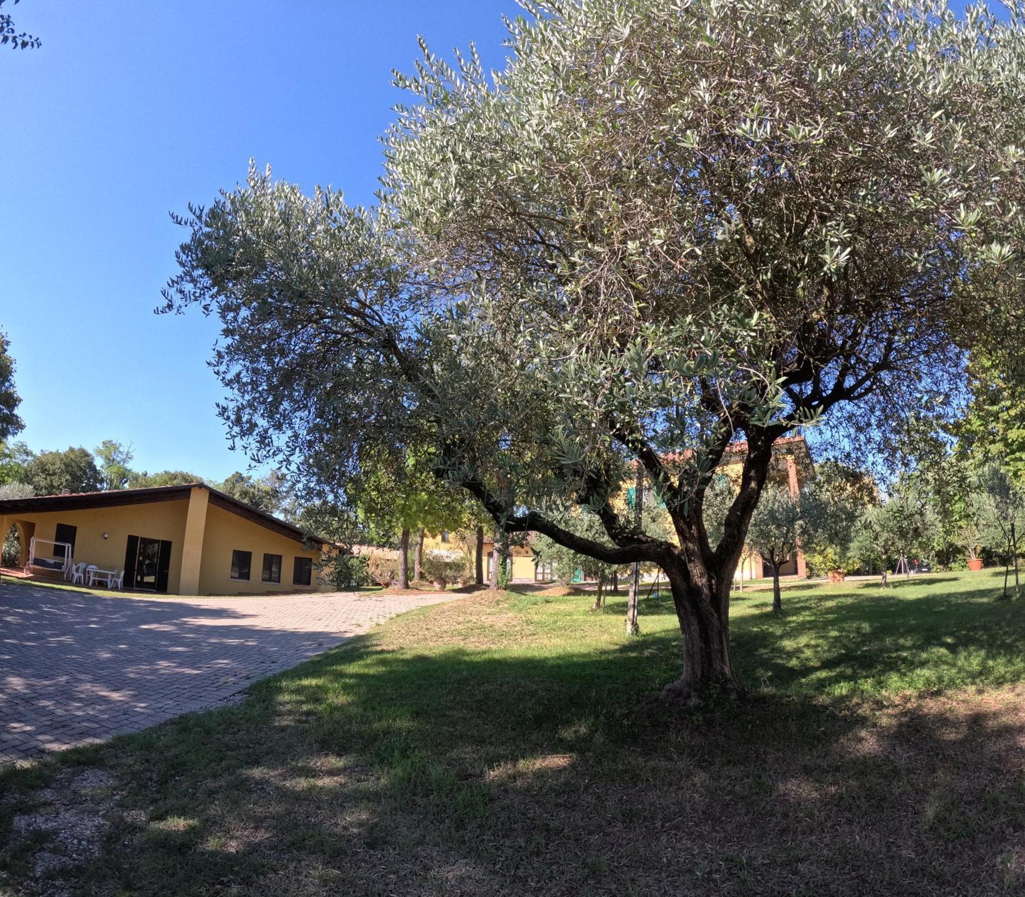 Agriturismo Gardenali 沃尔塔曼托瓦纳 外观 照片