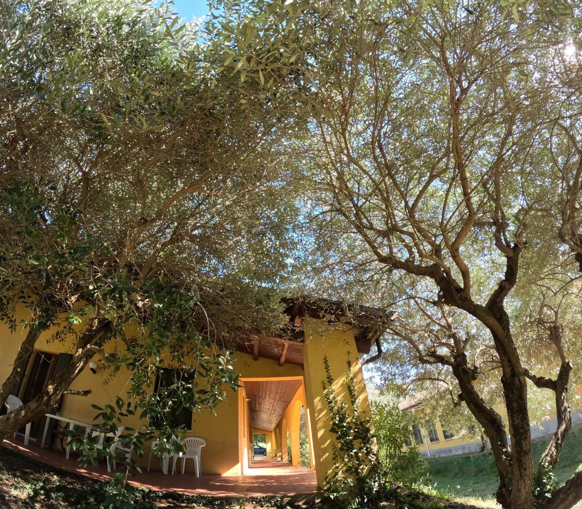 Agriturismo Gardenali 沃尔塔曼托瓦纳 外观 照片